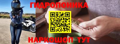 трава Аргун